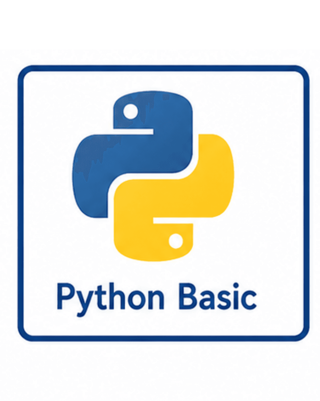 Python Basic